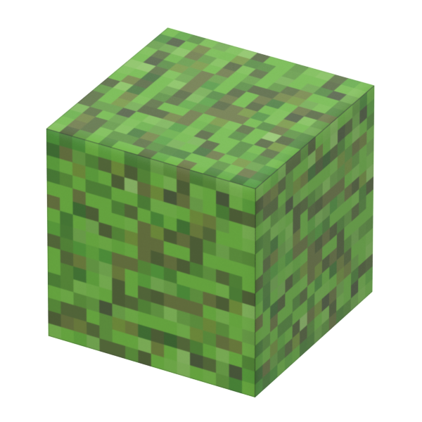 Individual Blocks